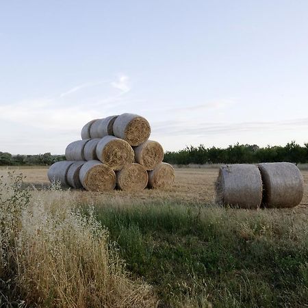 Agrimat Salento Sas Villa Alezio Buitenkant foto