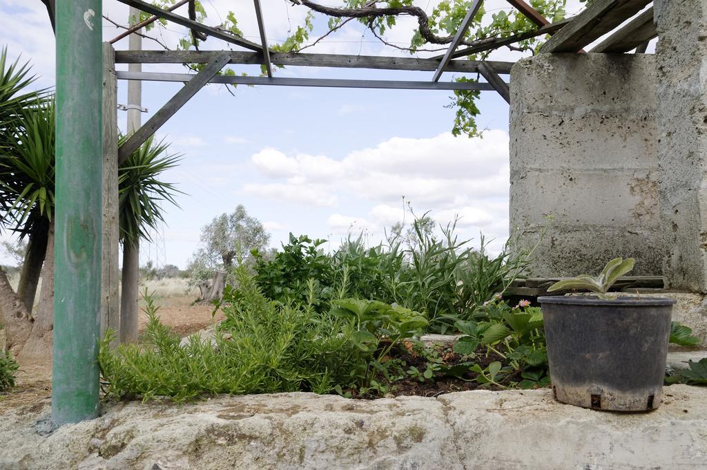 Agrimat Salento Sas Villa Alezio Buitenkant foto